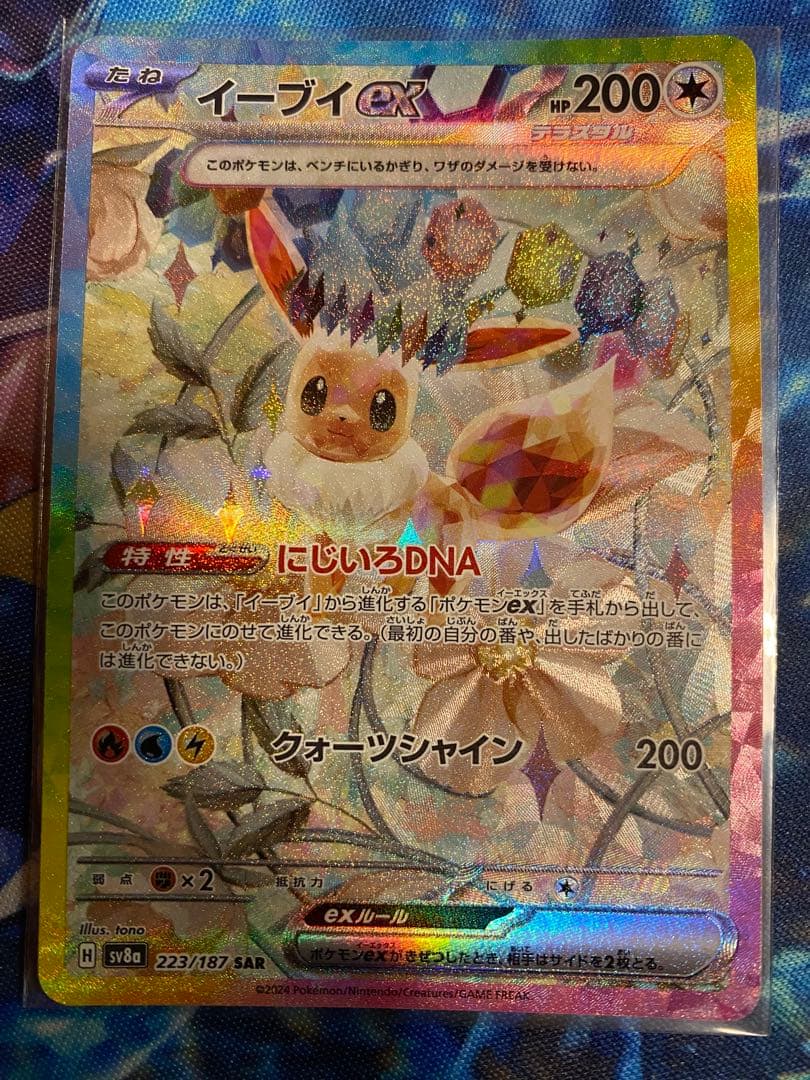ポケモンカード ブイズ まとめ売りコンプ (テラスタルフェスEX) SAR10種