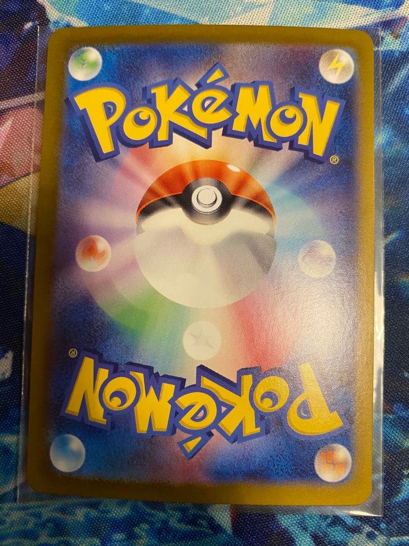 ポケモンカード ブイズ まとめ売りコンプ (テラスタルフェスEX) SAR10種