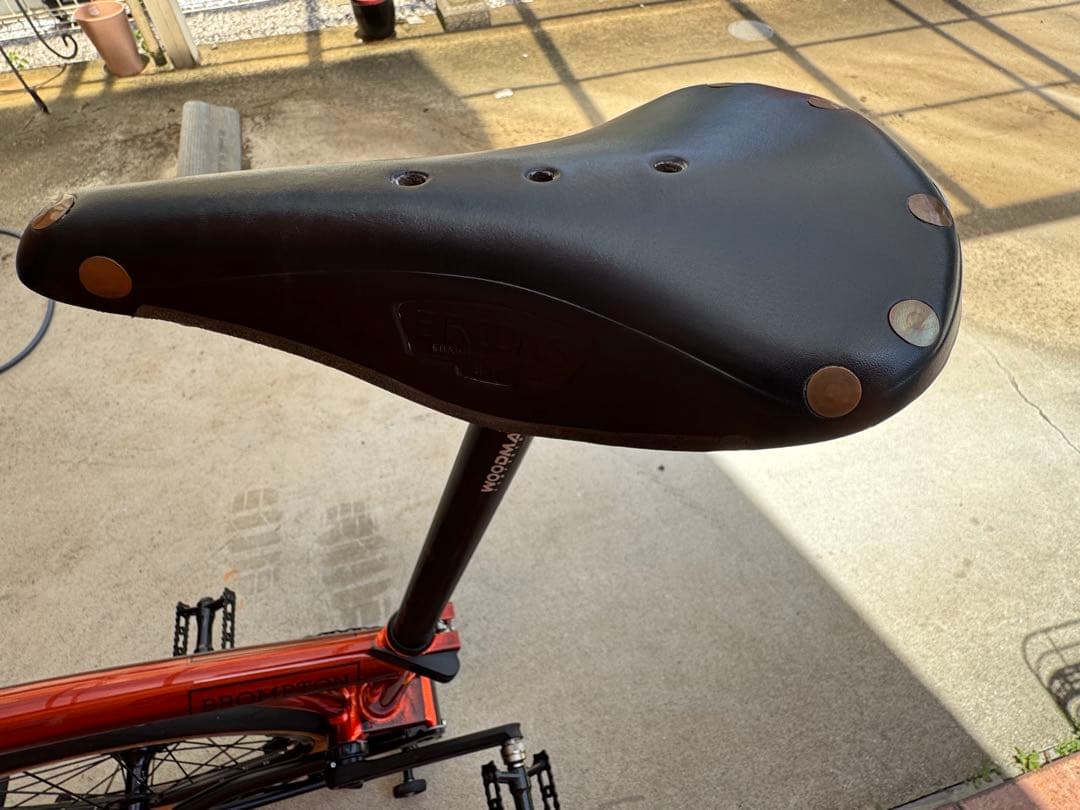 BROMPTON C Line SL2 フレイムラッカー カスタム外装5速