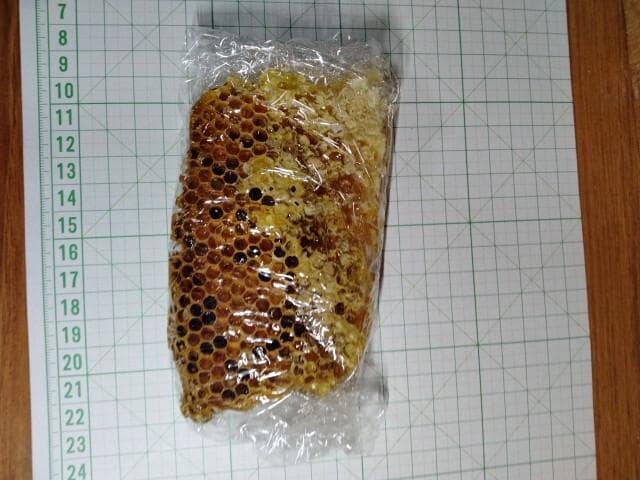 昆虫標本　ニホンミツバチ　巣盤　3番　3270g