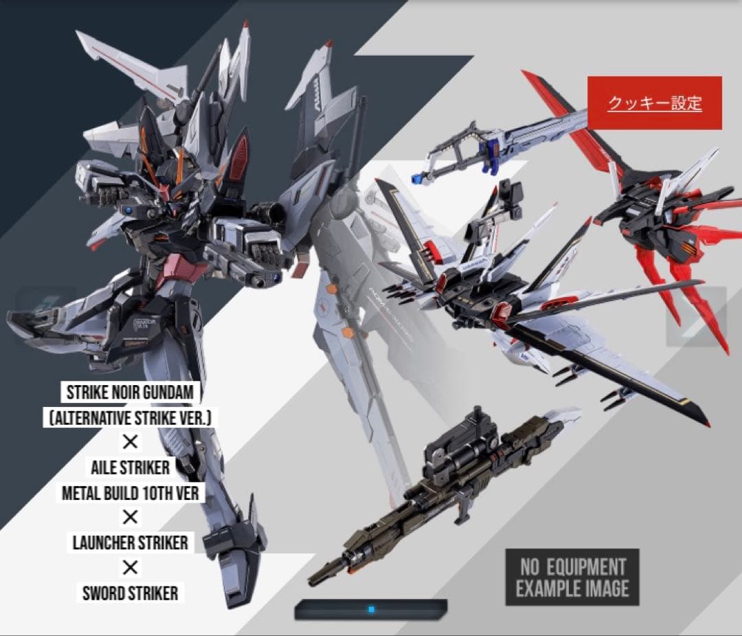 メタルビルド　ストライクノワール　ストライカーパック　セット