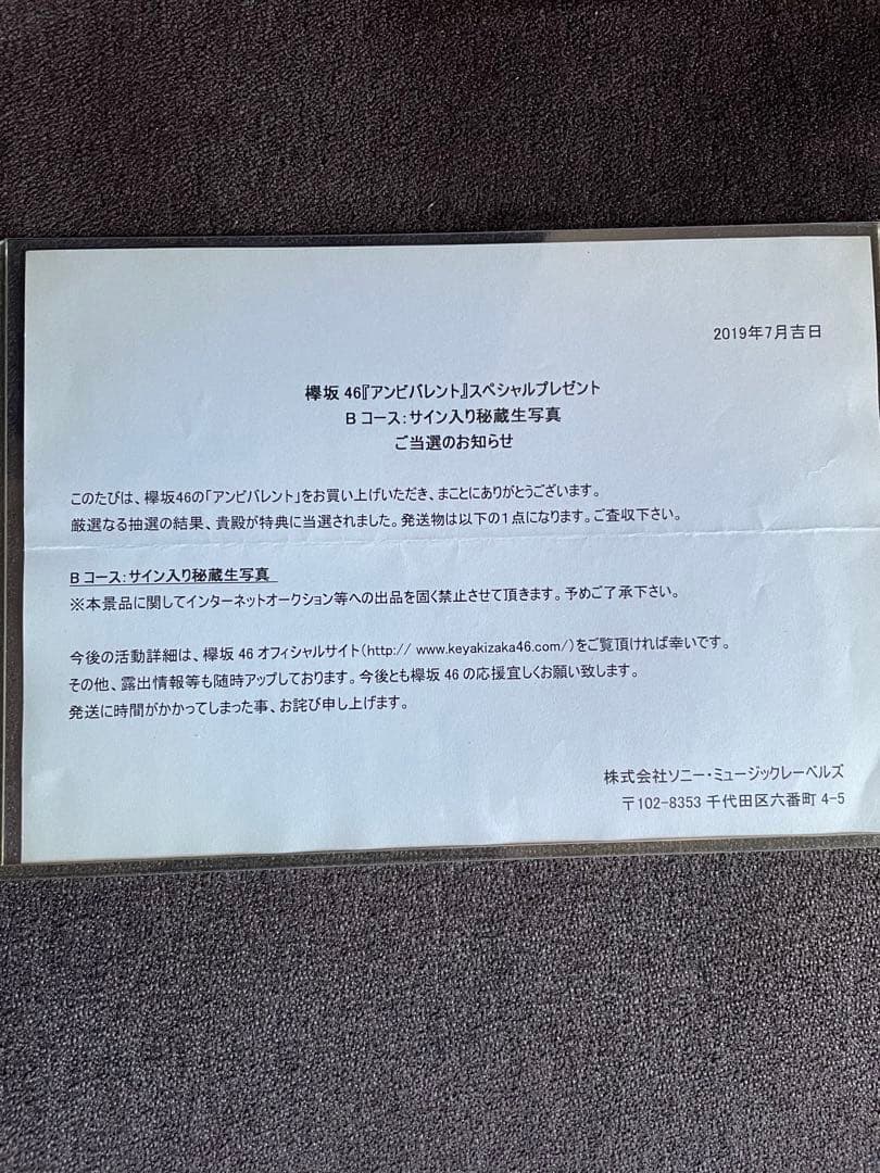 欅坂46 東村芽依　アンビバレント 秘蔵直筆サイン　生写真　日向坂46