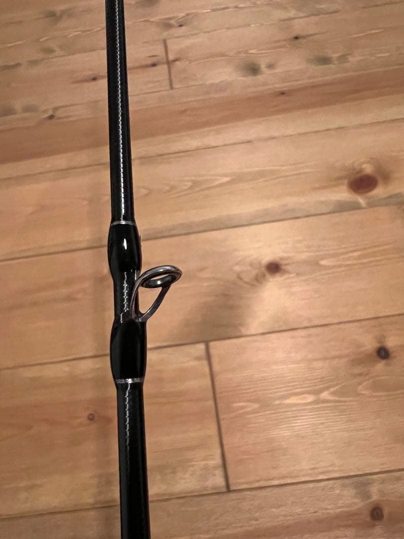 フィッシュマン ブリストマリノ9.9H