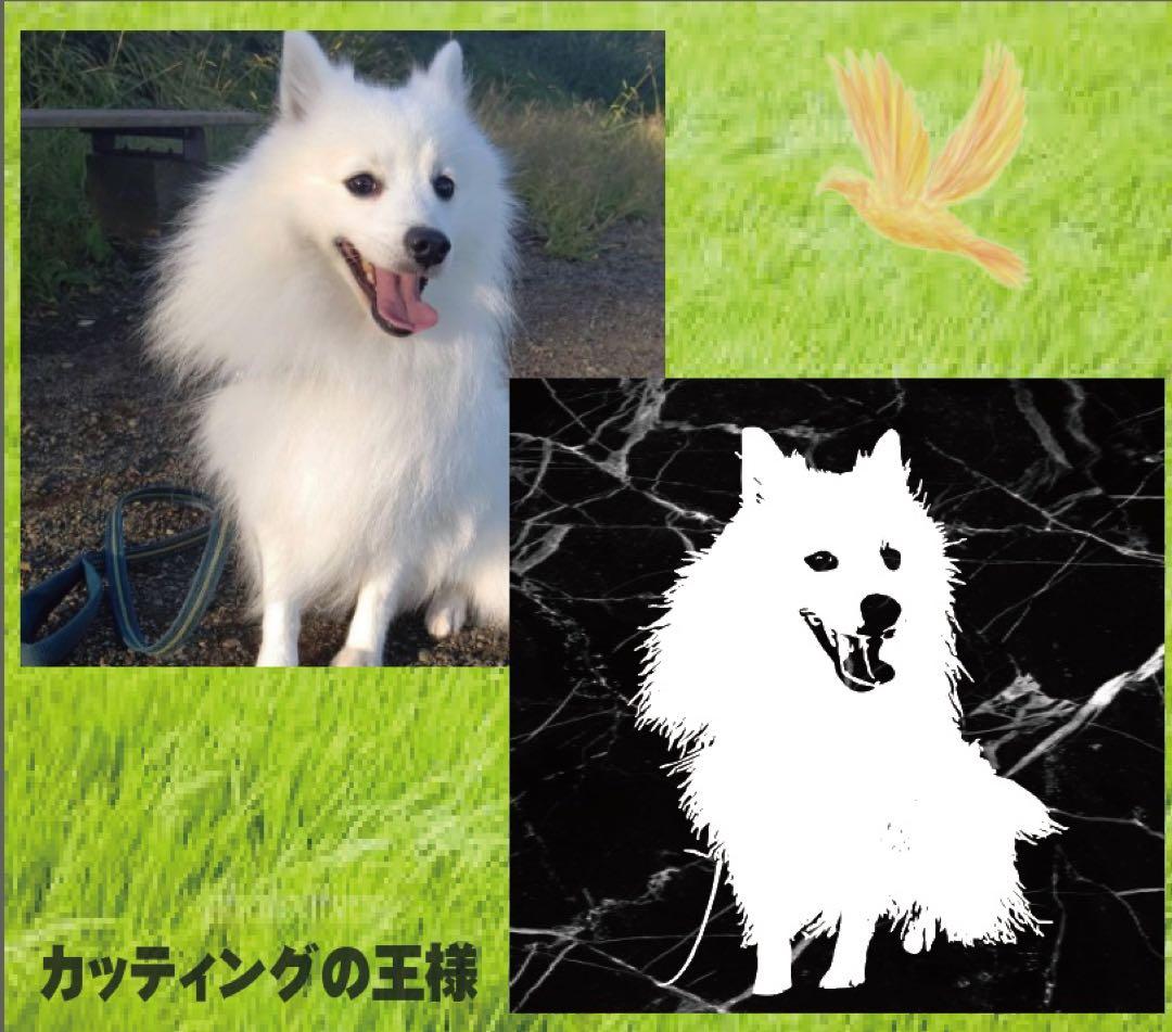 クオリティの高いオーダーカッティングステッカー