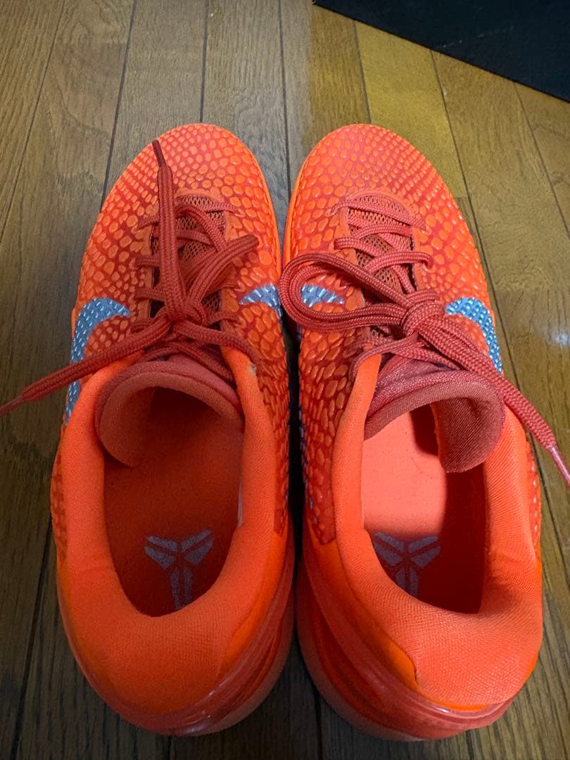 コービー6プロトロ