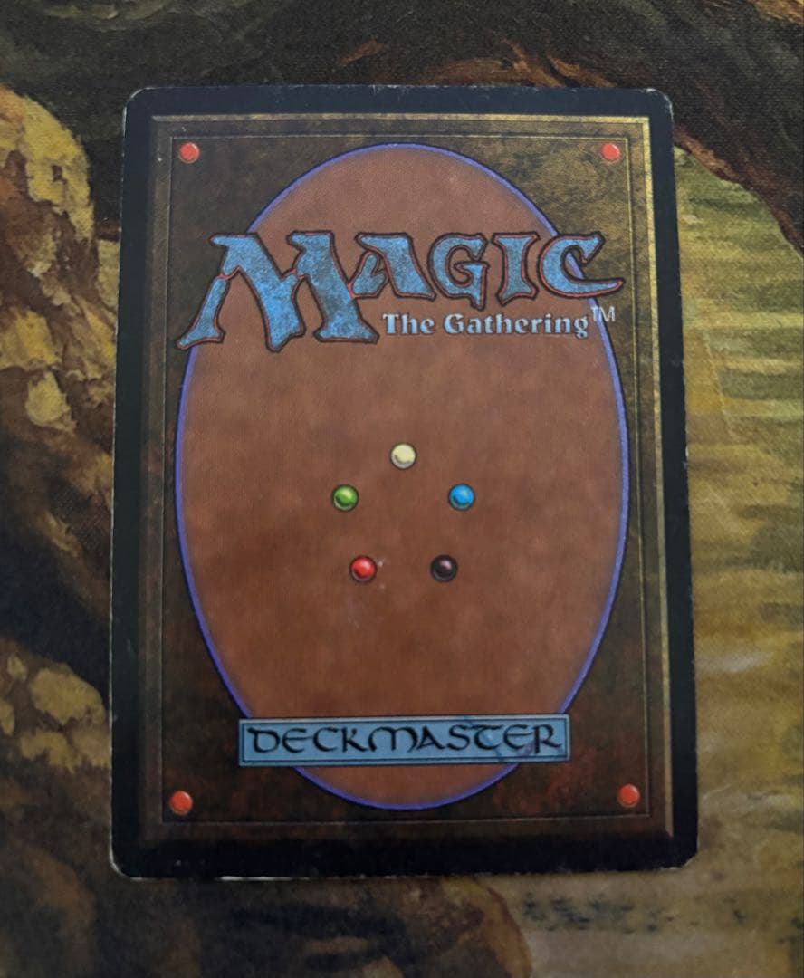 【10月末まで】Tropical  MTG デュアルランド