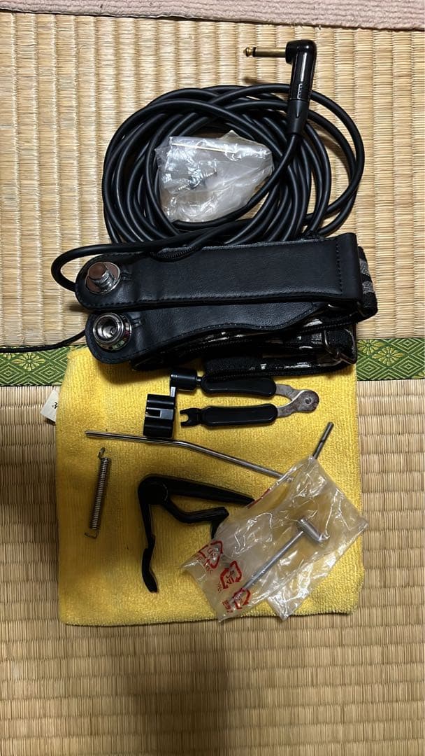 ギター PRS SE Santana