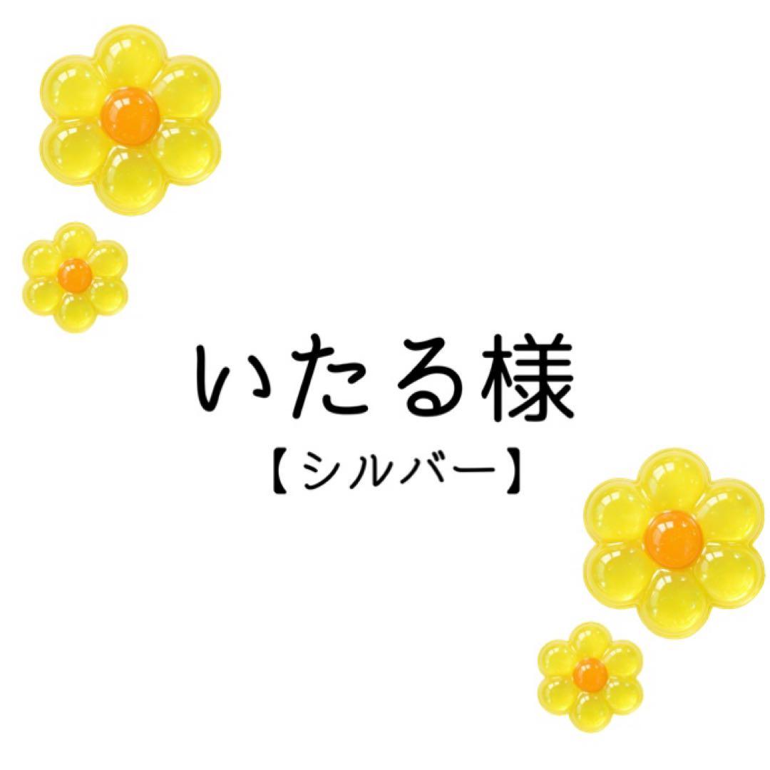 いたる様 コスプレ ウィッグ オーダー 専用ページ