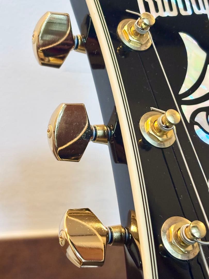 FERNANDES BURNYバーニー レスポールカスタムタイプ RLC-55