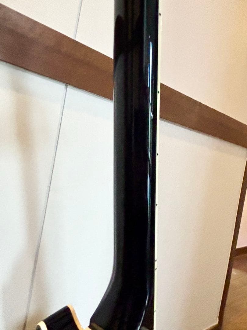 FERNANDES BURNYバーニー レスポールカスタムタイプ RLC-55