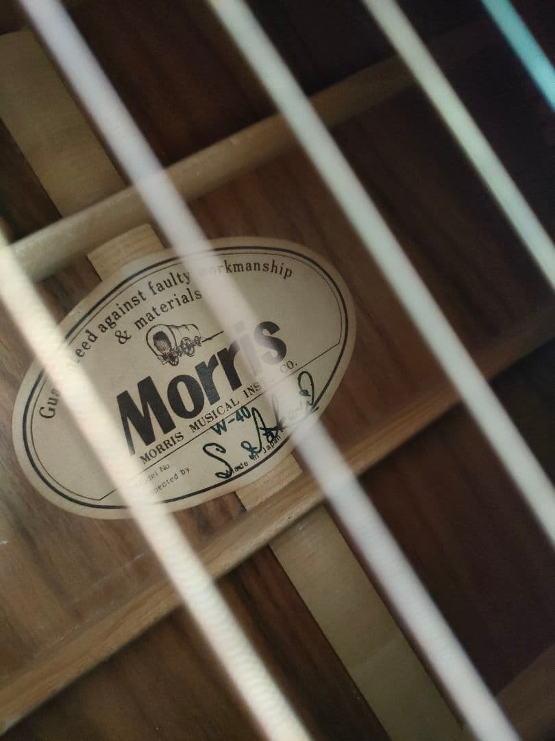 Morris アコースティックギター、レアカラー