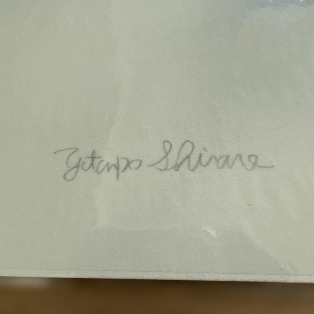 y*y様 【未開封品】白根ゆたんぽ AND YET SUMMER IS COMI