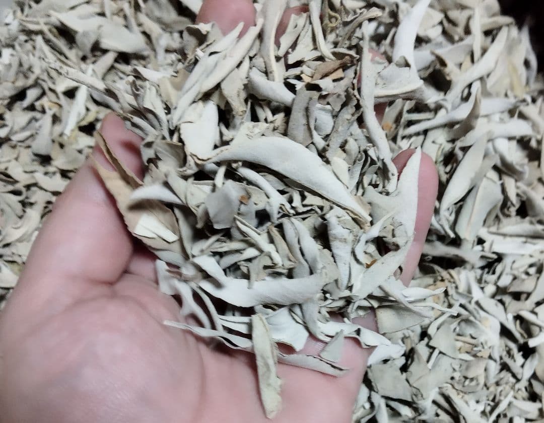 激安価格☆無農薬アウトレットホワイトセージリーフ1KG箱入りお香浄化業務用価額