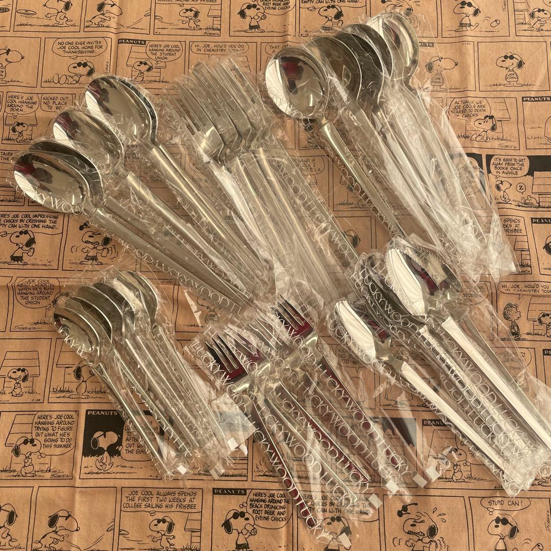 【新品未使用】ラッキーウッド　スカンジナビア　18-12ステンレス　30本セット
