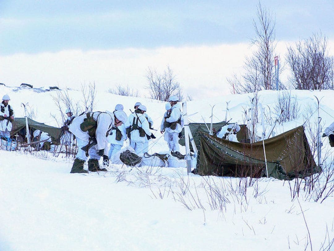 【軍幕屋】希少★ノルウェー軍ボタンテント★４枚★ビンテージ★ソロ★野営★