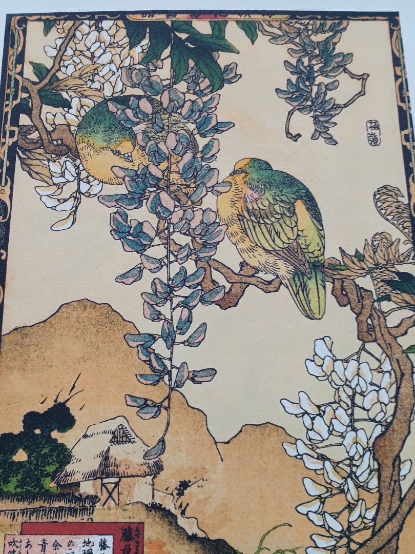 江戸屋版　媒嶺花鳥画譜第1編 27図 手作り古画修復　浮世絵風