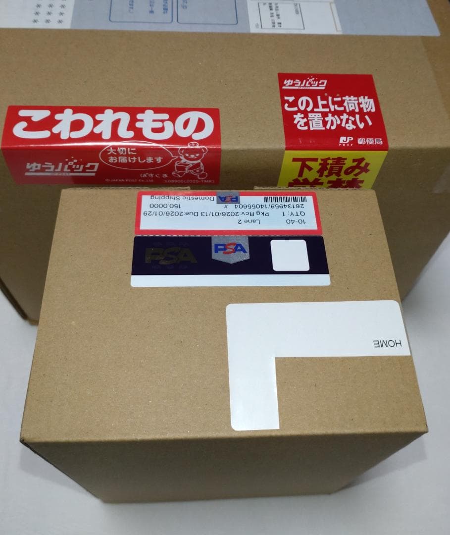 【PSA10】 メガ リザードン x ex MUR インフェルノ x ドリーム