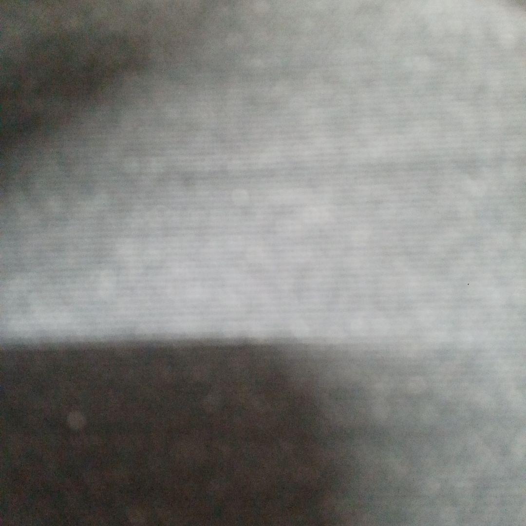 Nさん専用 ピカチュウ