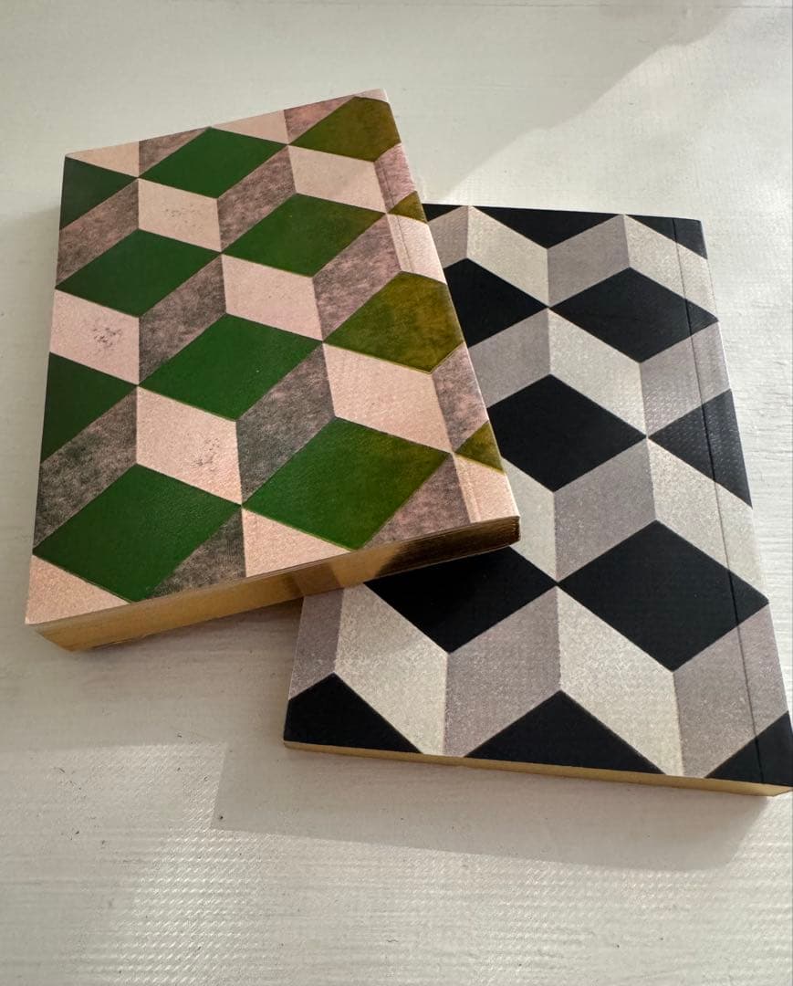 アスティエノート2冊アッシュぺーフランス購入