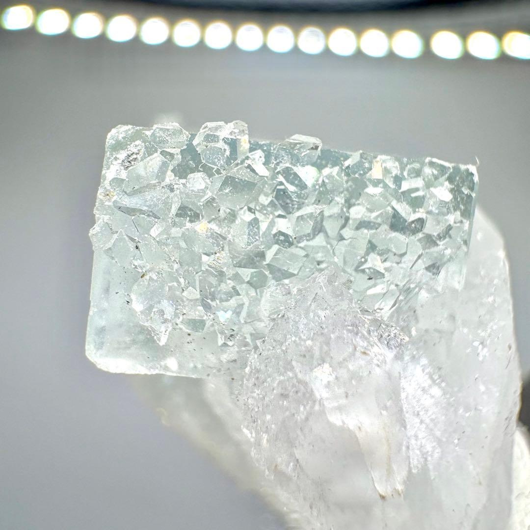 604 中国 浙江省産 フローライト