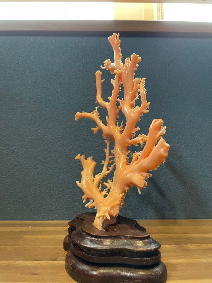 ピンク珊瑚 原木枝 土台付き 約20.5cm