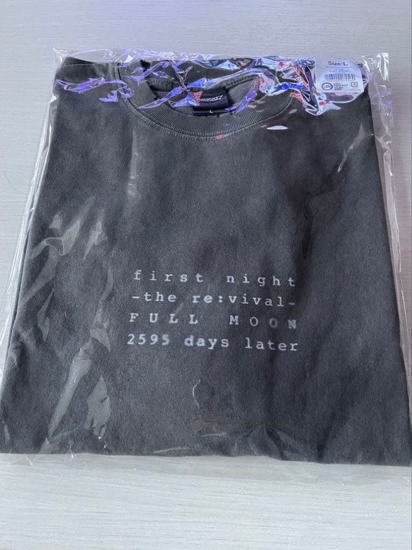 登坂広臣　ØMI FULL MOON 会場限定　ロングスリーブTシャツ　Lサイズ