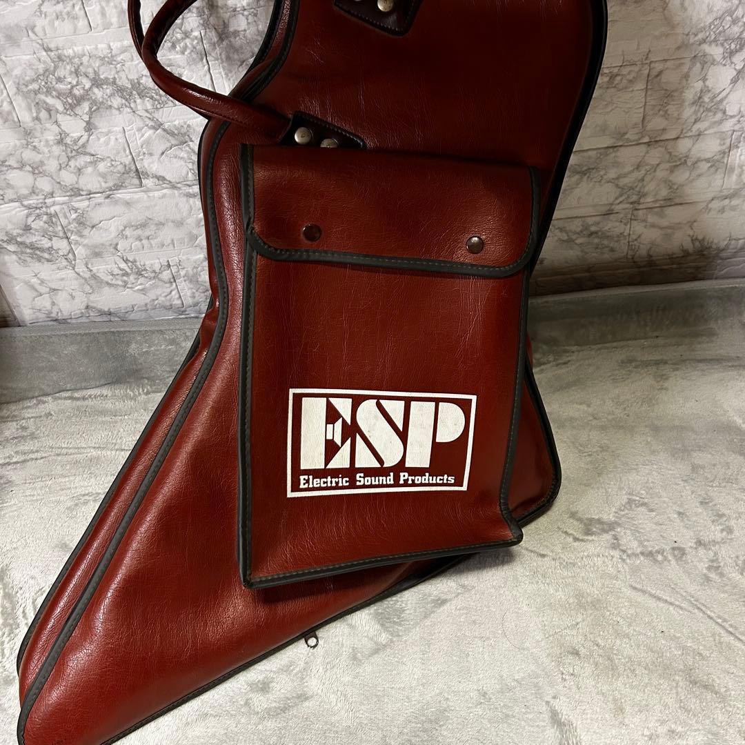 【ESPフリッカー搭載】ランダムスタータイプ 高崎晃 モデル ケース付80年代