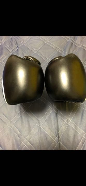 PRETORIAN ボクシンググローブ 16oz（オンス）