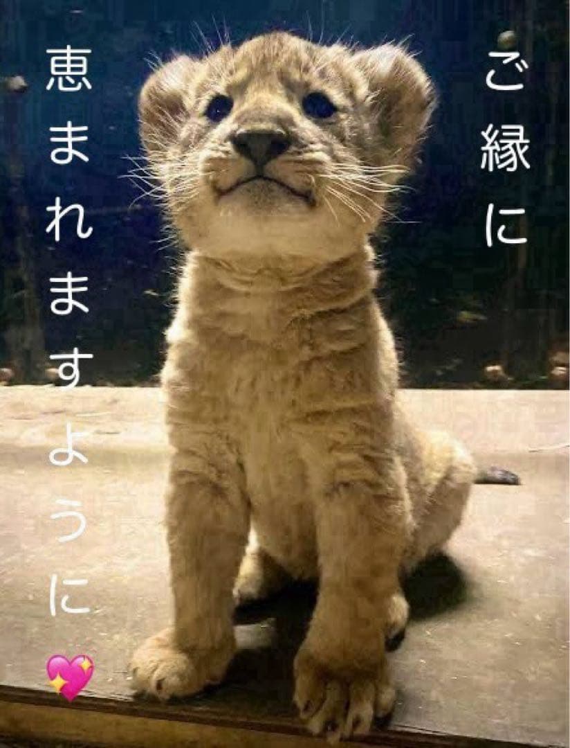 薄桜鬼 缶バッジ＆アクキ＆アクスト 14種セット 原田佐之助