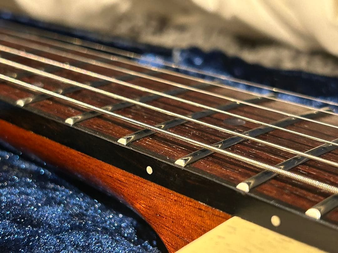 ギター Larrivee RS-2