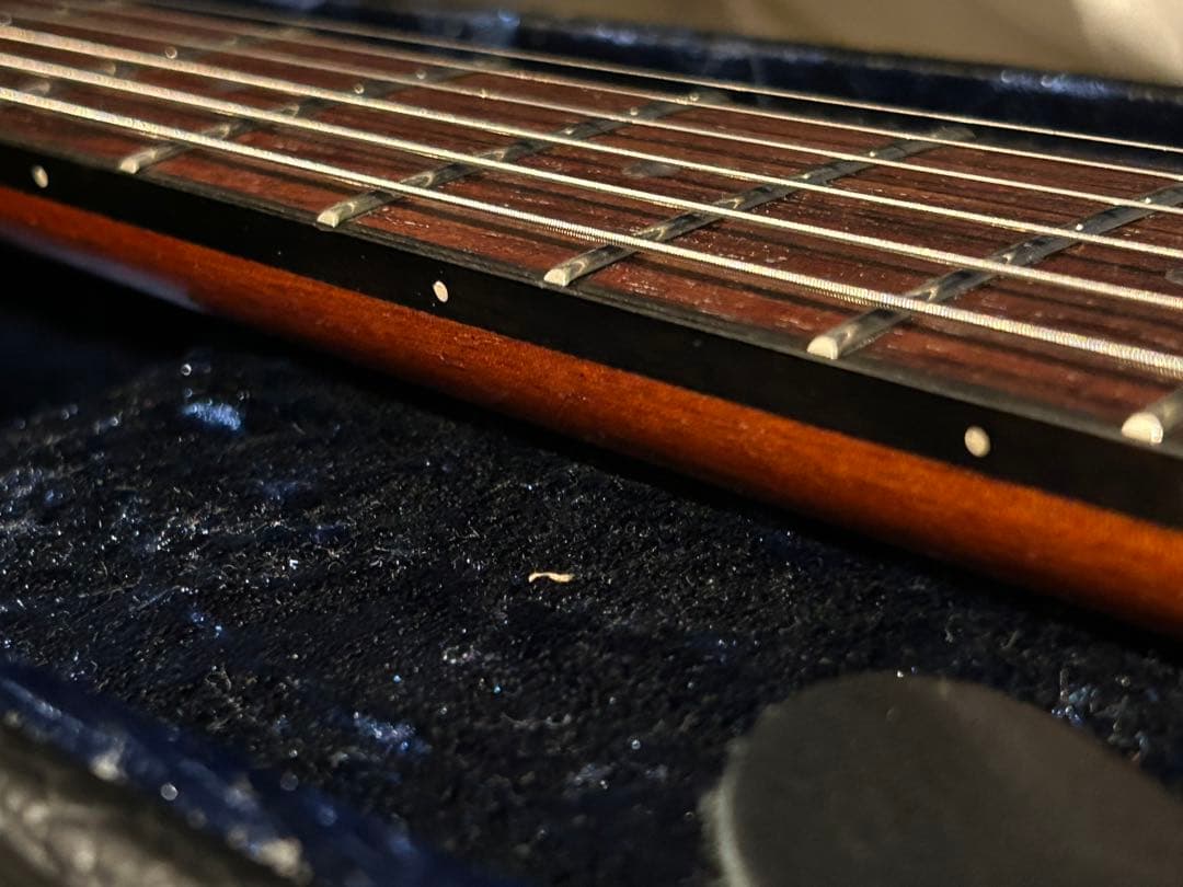 ギター Larrivee RS-2