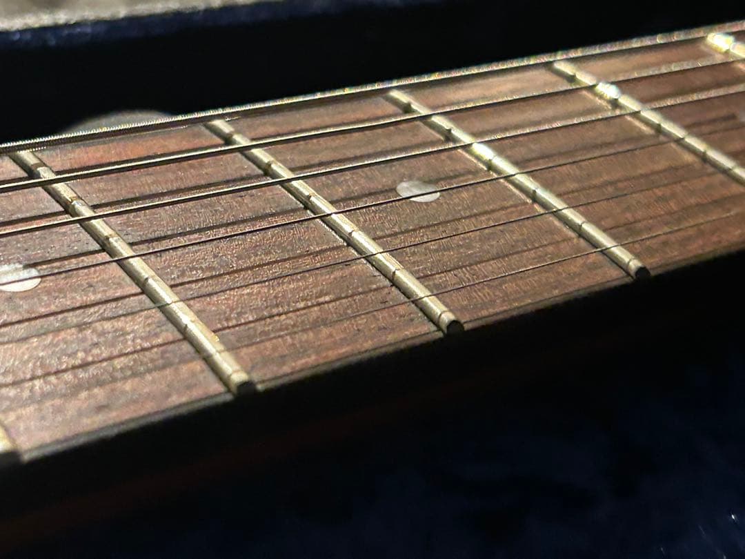 ギター Larrivee RS-2