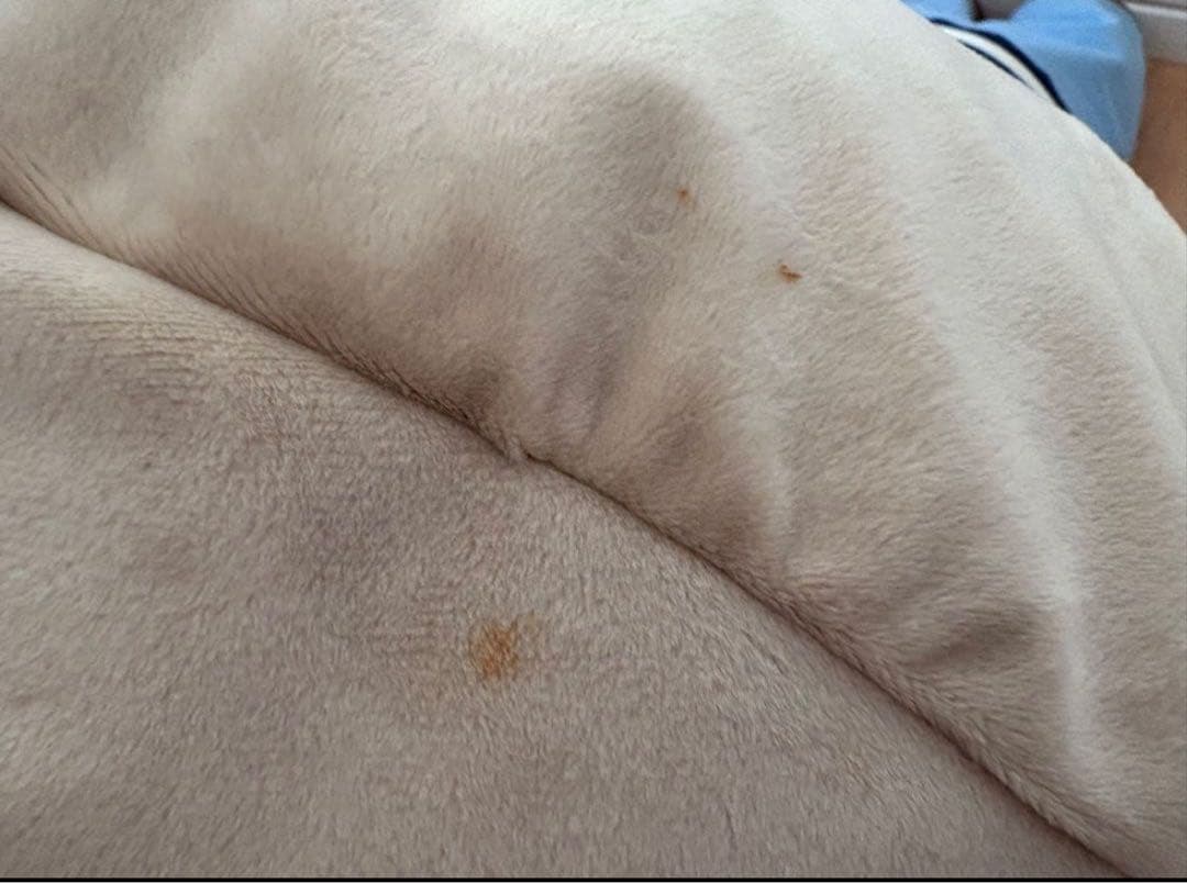 名探偵コナン 安室透　降谷零　バーボン　 ぬいぐるみまとめ売り