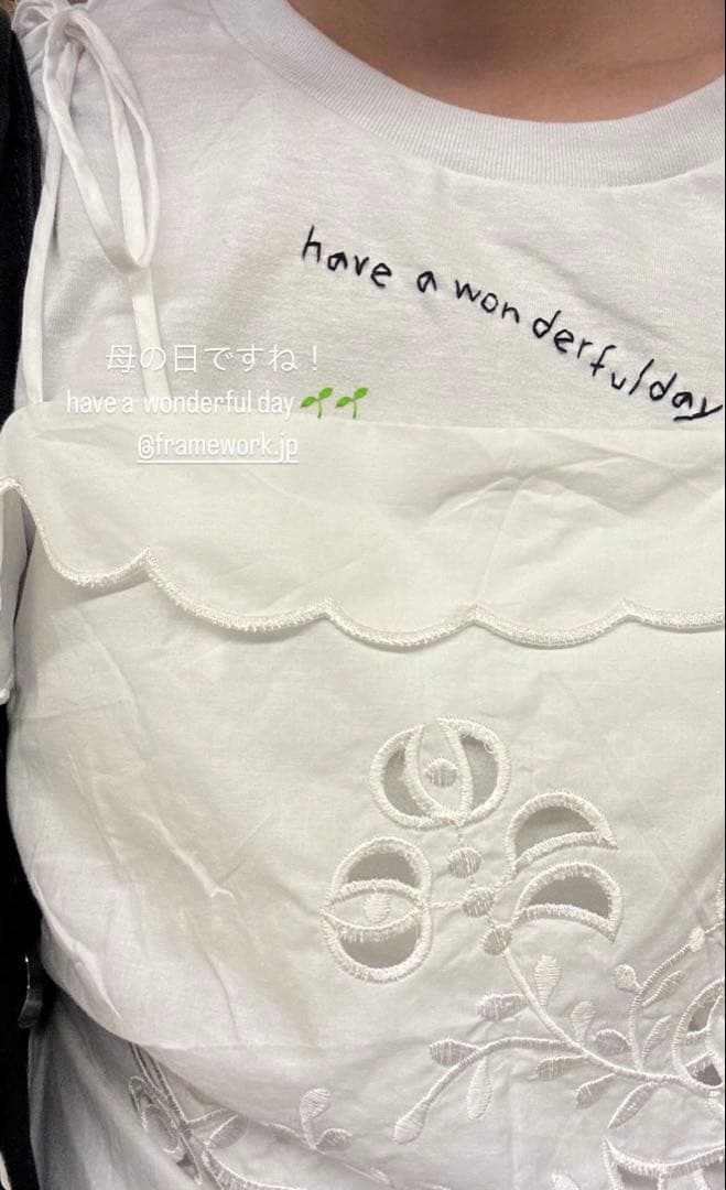 framework購入　THE GARMENT KIRSTEN TIE TOP