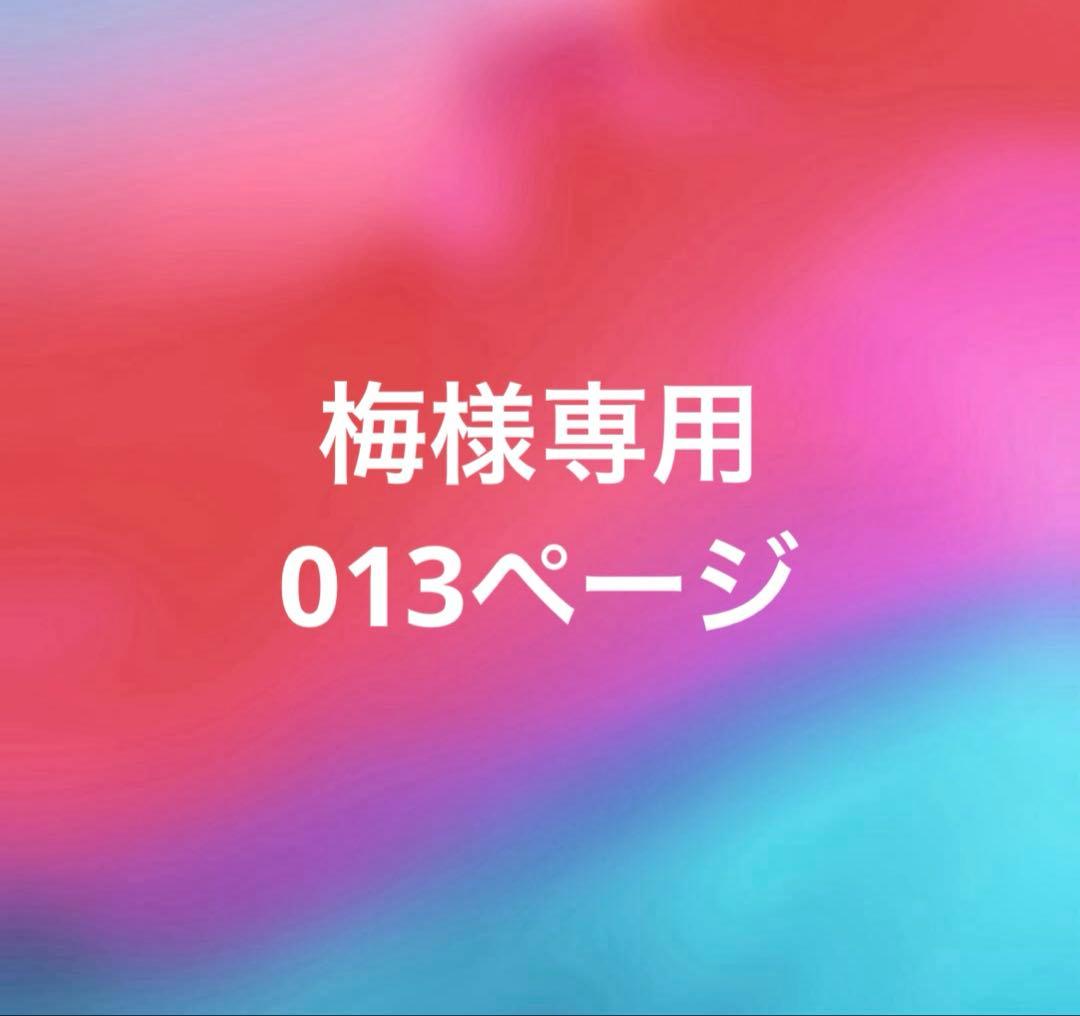 梅13ぺージ
