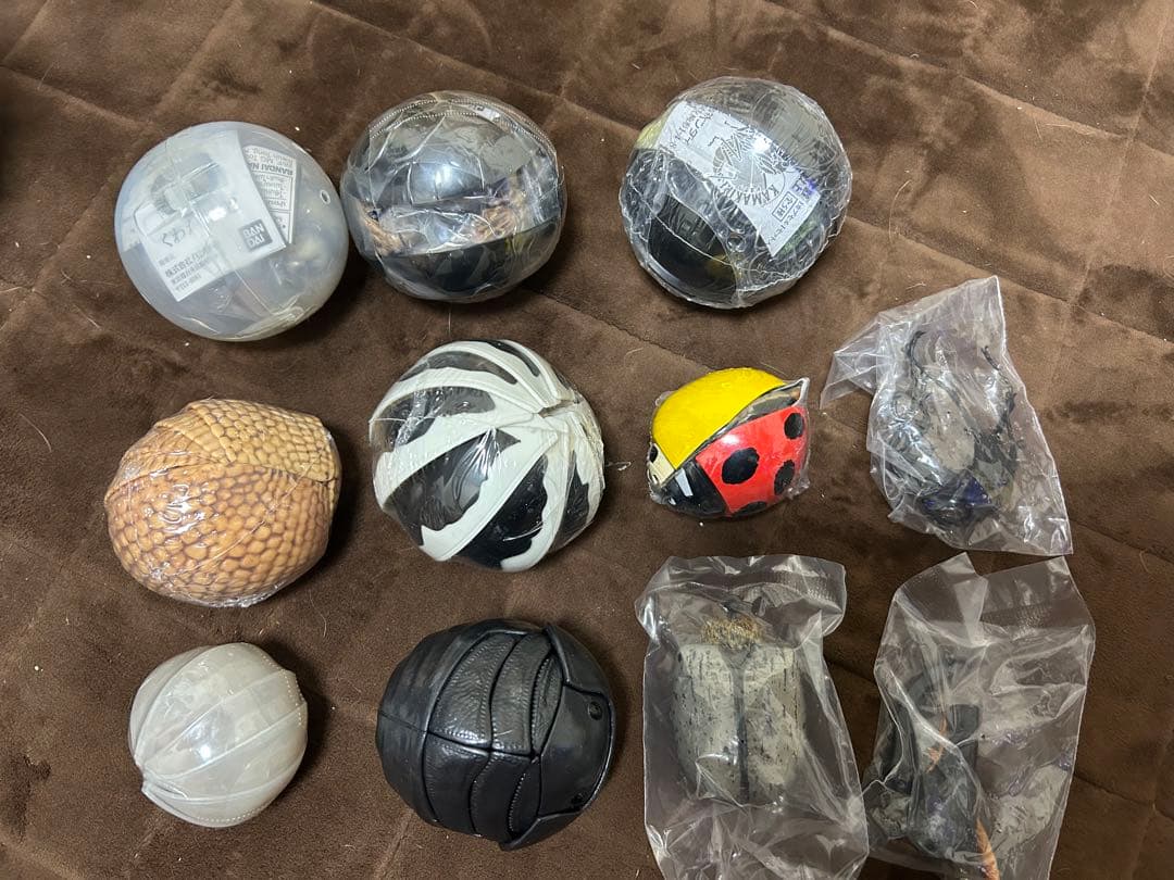 いきもの大図鑑 超レア含む 未開封セット