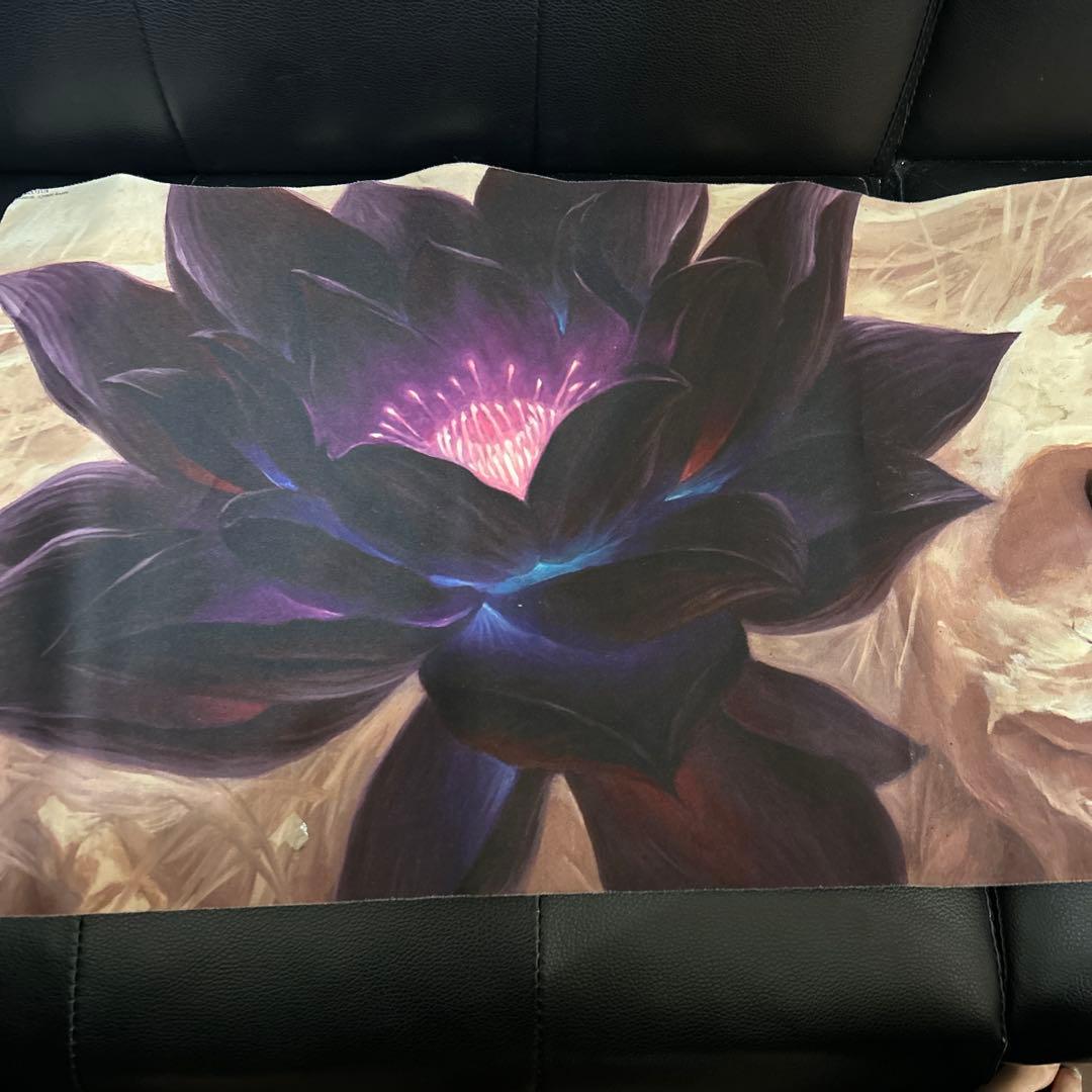 デュエルマスターズカードセット多数　引退品