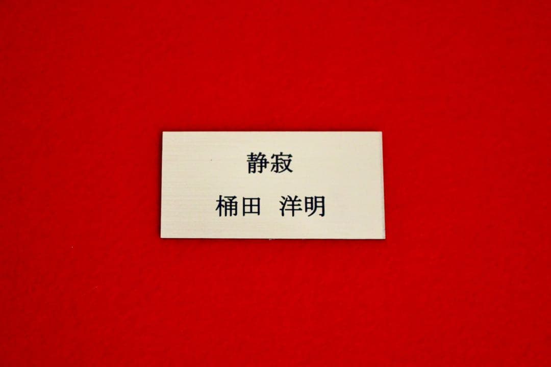 花乙女コレクション【桶田洋明　静寂】購入金額より60％お値引き！！