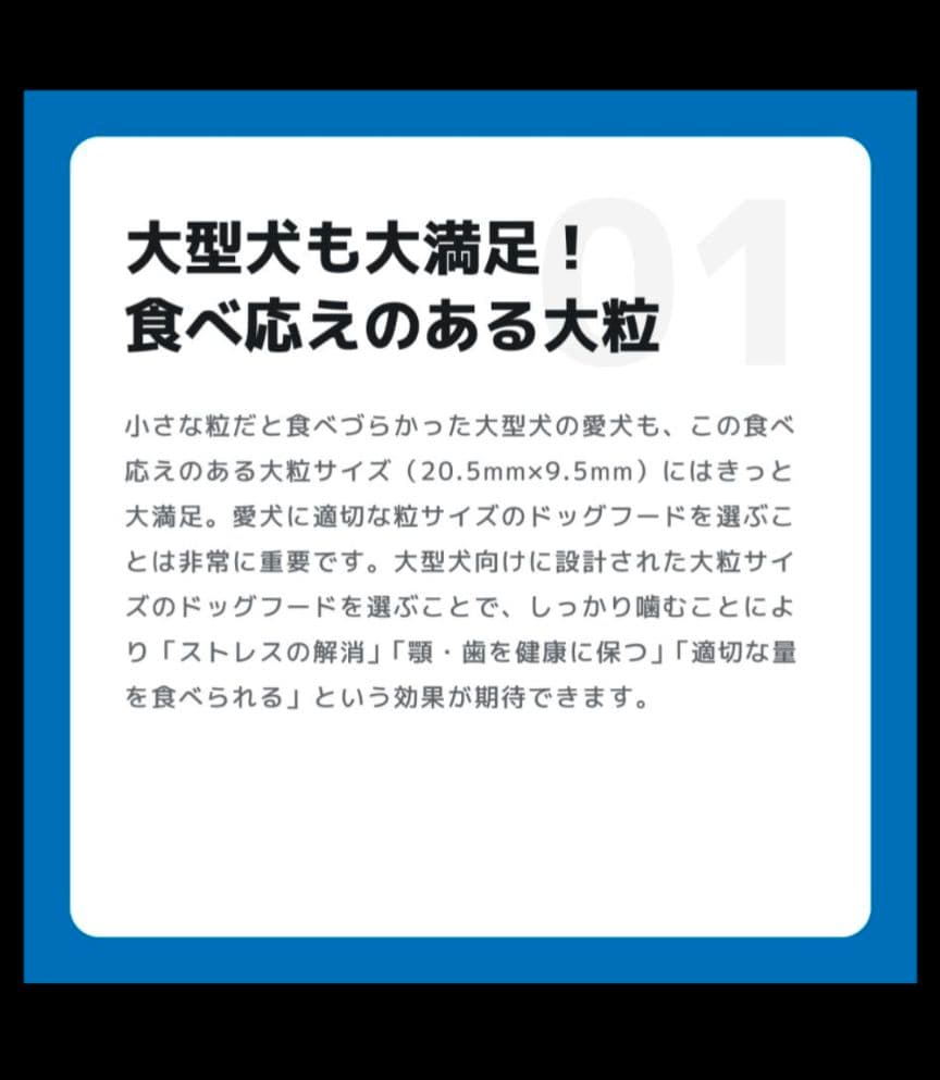 INUMESHIフィースト 1才以上 大型犬用 大粒 15kg ブリーダーパック
