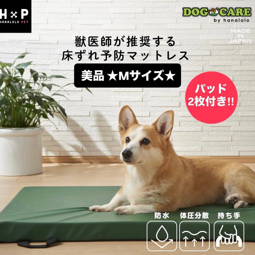 Mサイズ パッド2枚付き★ハナロロ ドッグケア防水マットレス床ずれ防止犬用ベッド