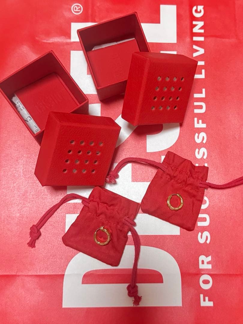 ☆ぺんちゃんさん専用☆DIESEL ピアス　新品未使用