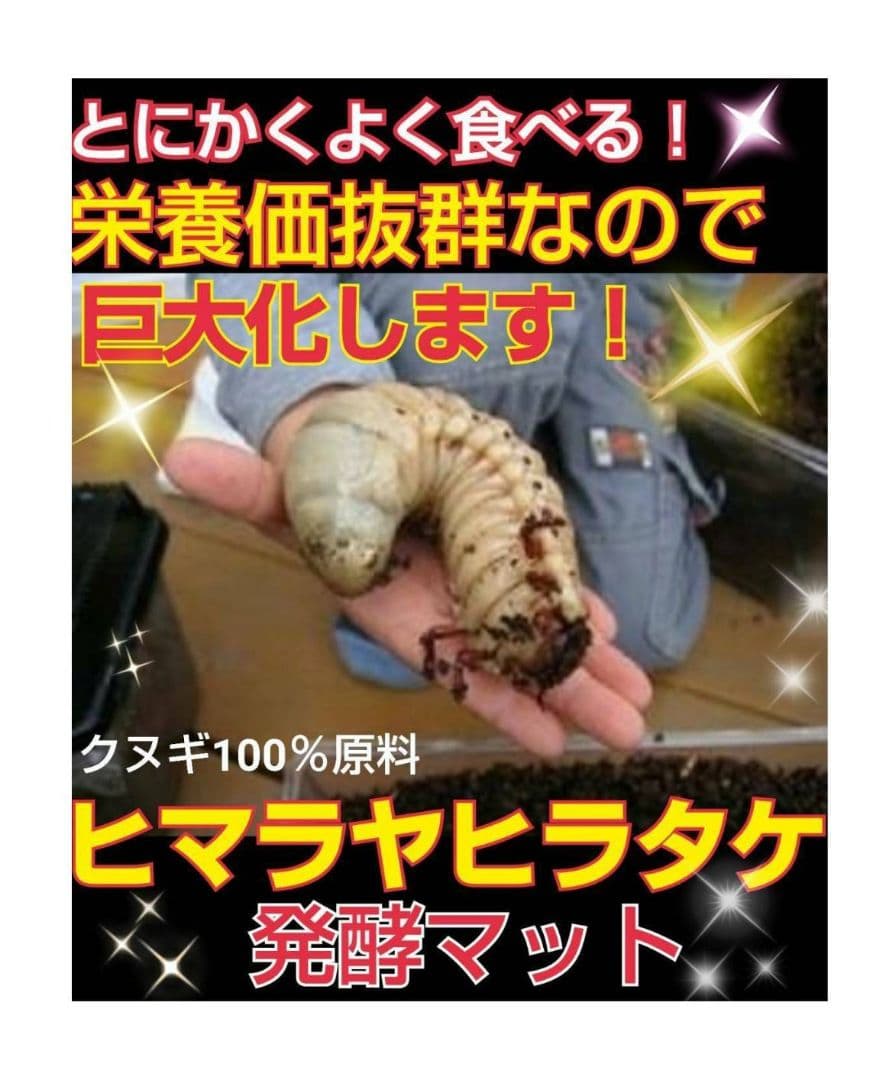 高品質！カブトムシ幼虫の餌　大きくなる！発酵マット【6袋】雑虫が湧きません！
