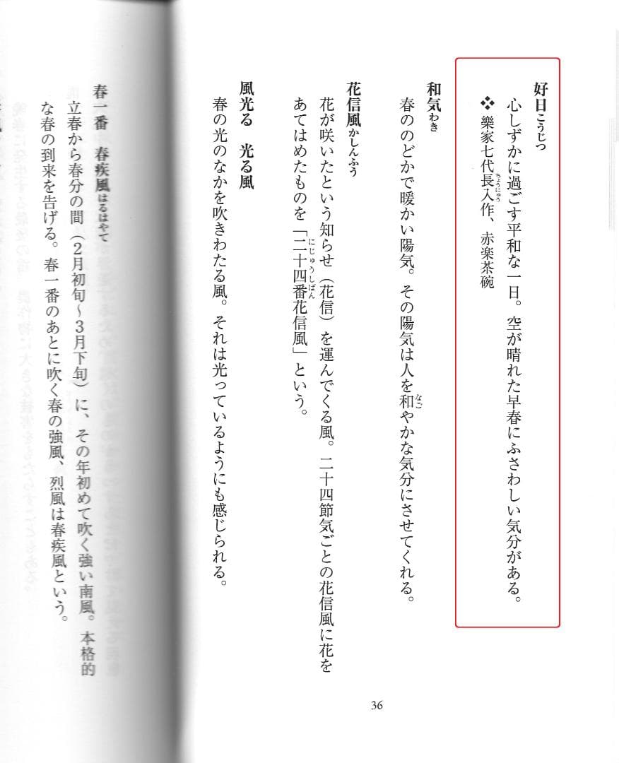 臨済宗大徳寺派興臨院大橋香林自作『竹茶杓』銘：好日（共箱・共筒）