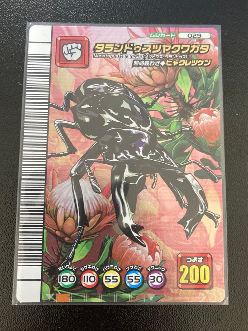 タランドゥスツヤクワガタ　ムシキング　5周年　ヒャクレツケン