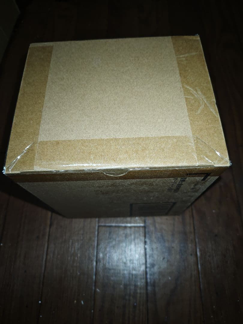 聖闘士聖衣神話EXオーディンローブ星矢