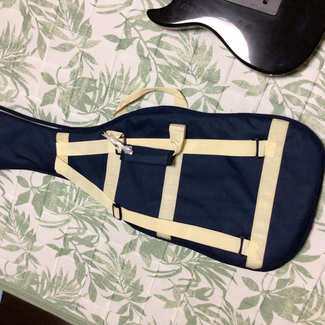 elioth guitar S305 6弦　エレキギターとケース