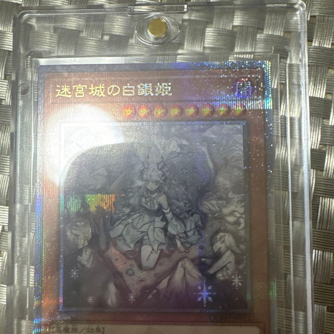 迷宮の白銀姫クォーターセンチュリー絵違い