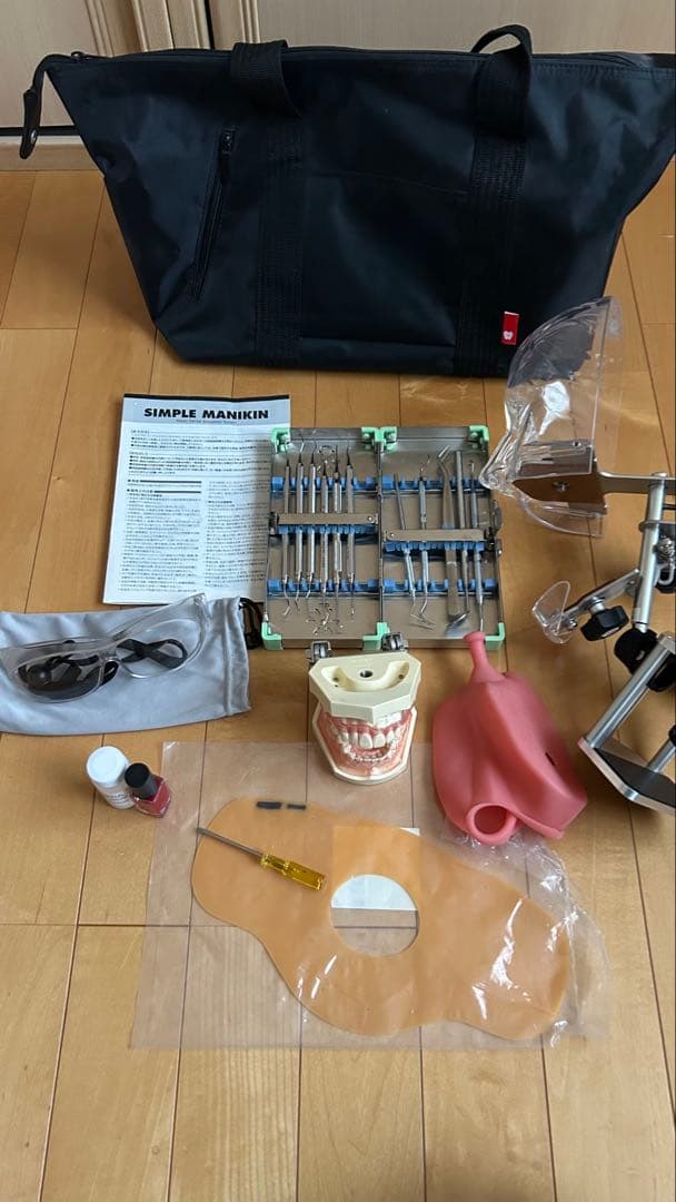 歯科衛生士顎模型ニッシンマネキン セット説明書付き