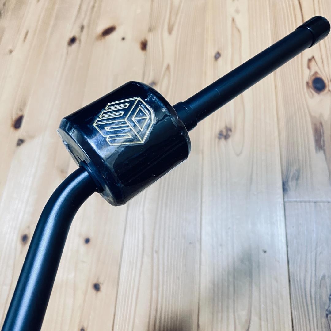 3D Swing Mentor スイングメンター TASKGOLF純正品