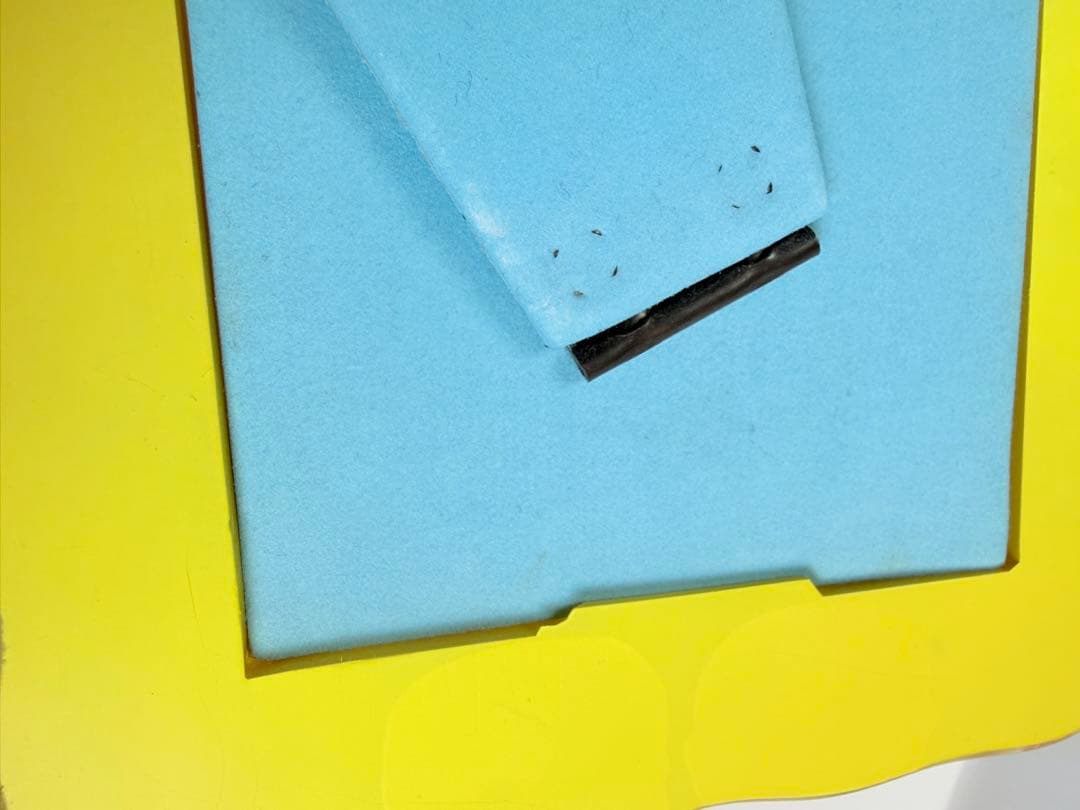 キティ ハイビスカス トロピカル フルーツ フォトフレーム 2001年 サンリオ